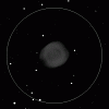      : NGC 7293 Helix Nebula 6  50 N  E .gif : 197 : 6.5  ID: 108261